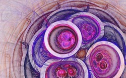 2014 04 26 Evening Plastic 66-white.jpg